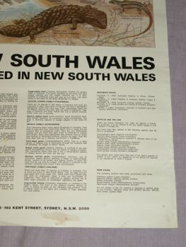 National Parks &amp; Wildlife Poster, Reptiles of New South Wales. (5)