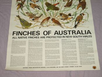 National Parks &amp; Wildlife Poster, Finches of Australia. (4)