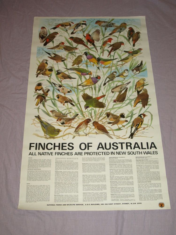 National Parks & Wildlife Poster, Finches of Australia.