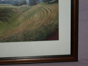 The Crater at Mount Eden New Zealand Framed Print by Janet Bothner-By. (2)