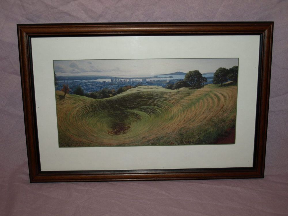 The Crater at Mount Eden New Zealand Framed Print by Janet Bothner-By.