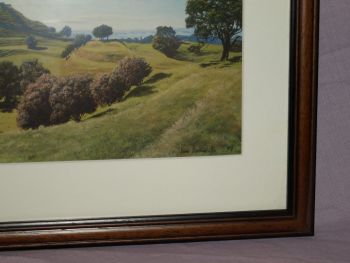 One Tree Hill New Zealand Framed Print by Janet Bothner-By. (2)