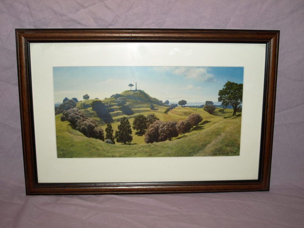 One Tree Hill New Zealand Framed Print by Janet Bothner-By.