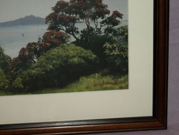 Rangitoto Island New Zealand Framed Print by Janet Bothner-By. (2)
