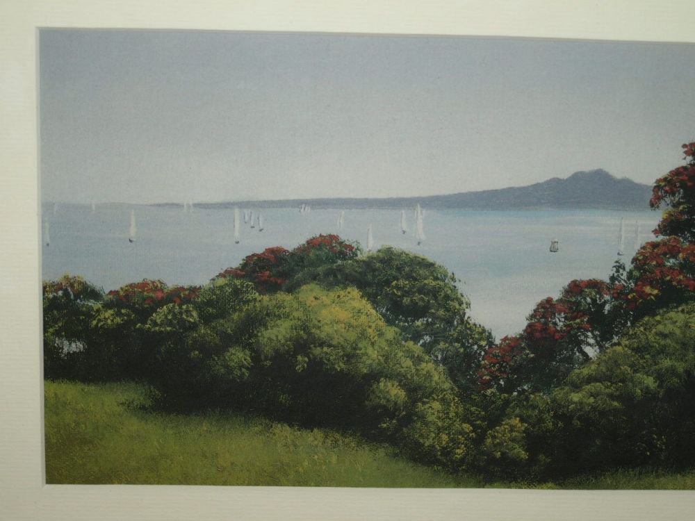 Rangitoto Island New Zealand Framed Print by BothnerBy.