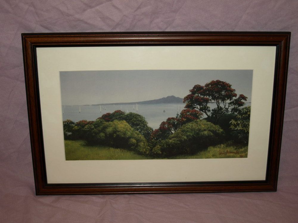 Rangitoto Island New Zealand Framed Print by Janet Bothner-By.