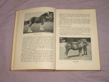 Farm Livestock, F. Fraser Darling, 1951. (6)