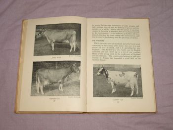 Farm Livestock, F. Fraser Darling, 1951. (7)