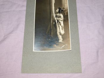 Vintage Japanese Photograph of Long Tailed Fowl. (2)