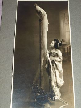 Vintage Japanese Photograph of Long Tailed Fowl. (4)