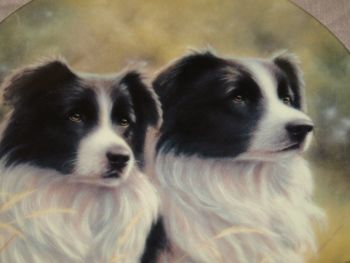Royal Worcester Border Collie Plate &lsquo;Me And My Girl&rsquo;. Danbury Mint (2)