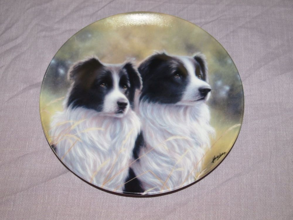 Royal Worcester Border Collie Plate ‘Me And My Girl’. Danbury Mint