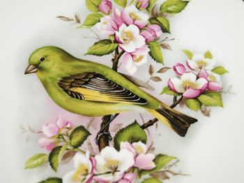 Royal Worcester Greenfinch Bird Decorated Plate. (2)