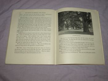 My Book of Animals and Trees by Kate Harvey &amp; E.J.S Lay. (9)
