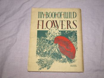 My Book of Wild Flowers by W.M. Daunt &amp; E.J.S. Lay. (9)