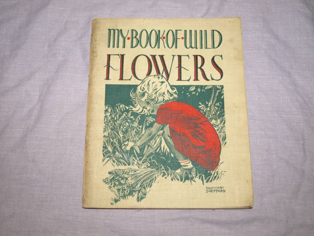 My Book of Wild Flowers by W.M. Daunt & E.J.S. Lay.