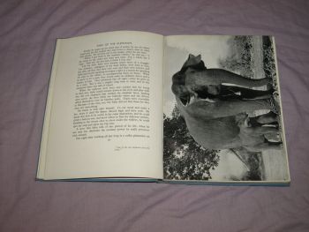 Sabu Of The Elephants by Jack Whittingham. (5)