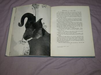 Sabu Of The Elephants by Jack Whittingham. (6)
