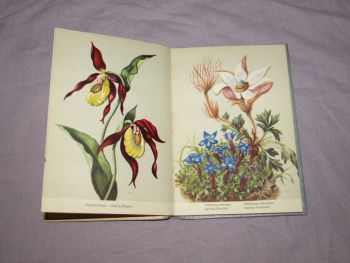 The Most Beautiful Alpine Flowers Hardback Book. (4)
