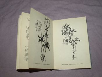 The Most Beautiful Alpine Flowers Hardback Book. (5)