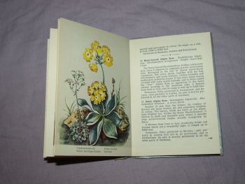 The Most Beautiful Alpine Flowers Hardback Book. (6)