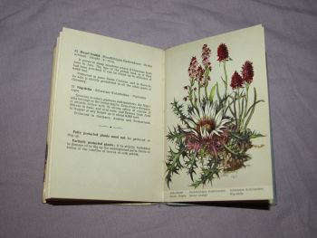The Most Beautiful Alpine Flowers Hardback Book. (7)