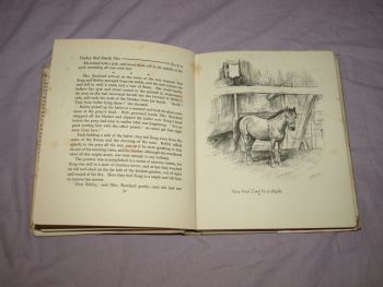 Zong A Hill Pony by M.E. Buckingham (7)