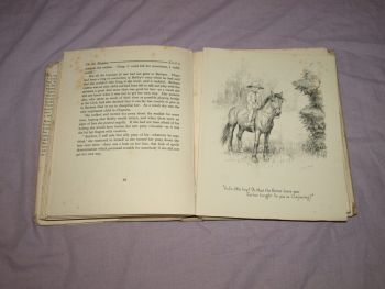 Zong A Hill Pony by M.E. Buckingham (8)