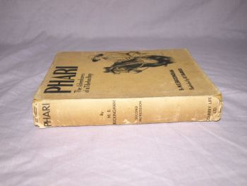 Phari The Adventures of a Tibetan Pony by M.E. Buckingham (2)