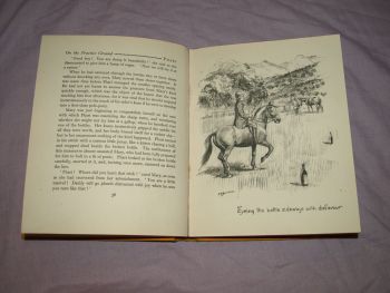 Phari The Adventures of a Tibetan Pony by M.E. Buckingham (7)