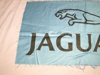 Jaguar Logo Print. Light Blue and Black.