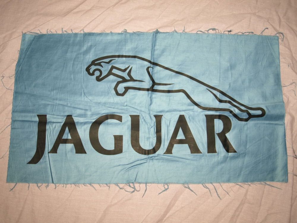 Jaguar Logo Print. Light Blue and Black.