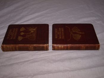 Wayside and Woodland Blossoms Series 1 and 2 by Edward Step. 1909. (2)
