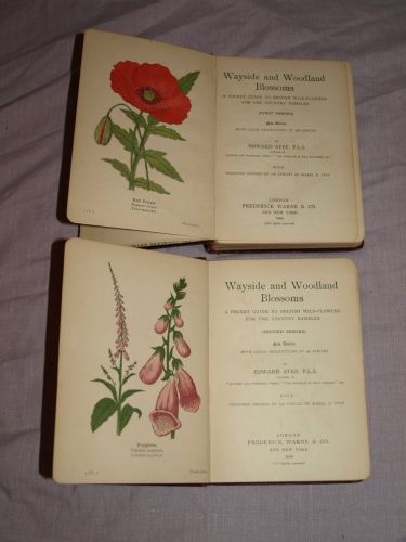 Wayside and Woodland Blossoms Series 1 and 2 by Edward Step. 1909. (5)