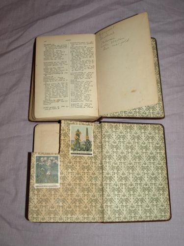 Wayside and Woodland Blossoms Series 1 and 2 by Edward Step. 1909. (9)