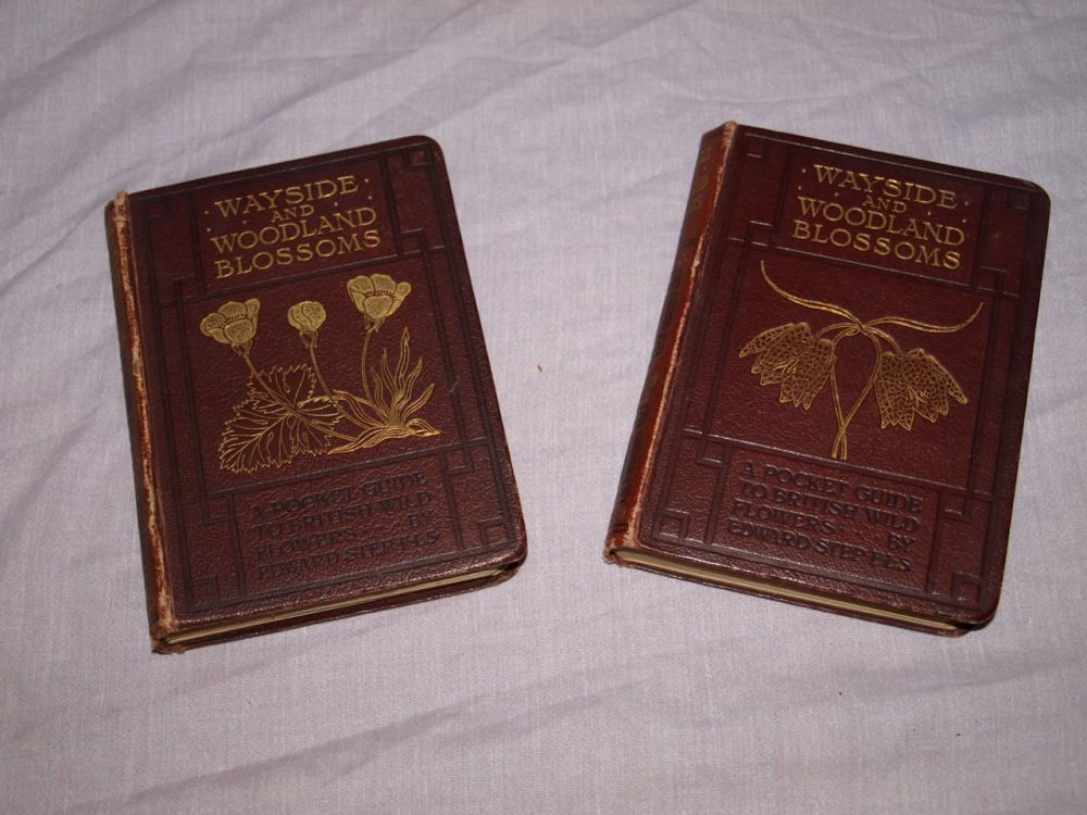 Wayside and Woodland Blossoms Series 1 and 2 by Edward Step. 1909.