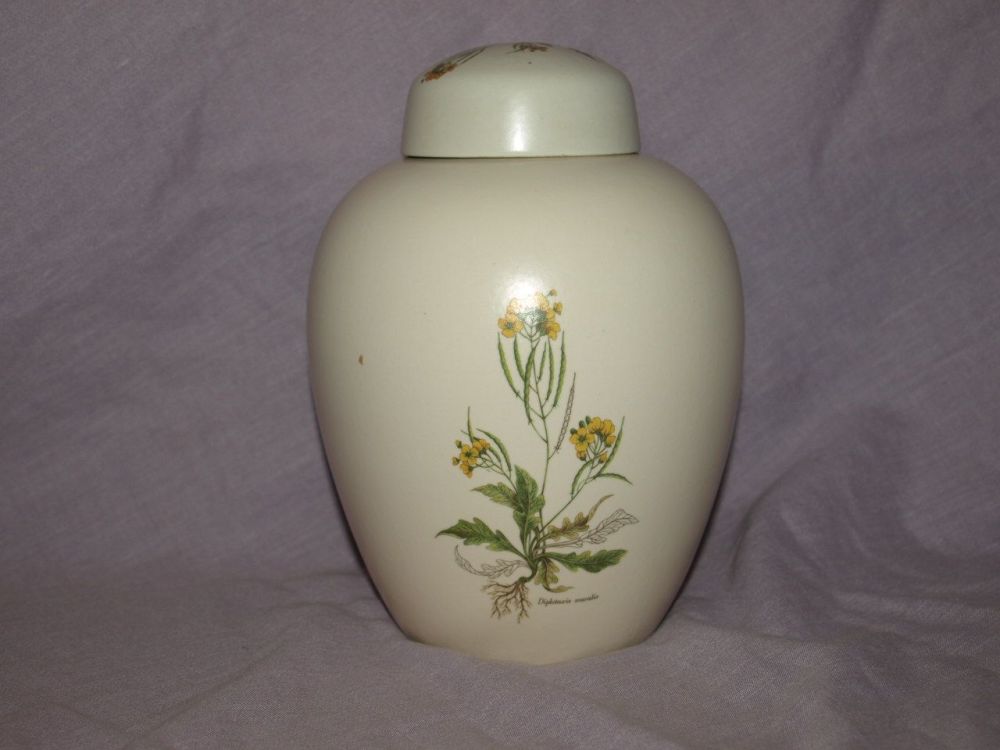 Poole Pottery Country Lane Ginger Jar #2