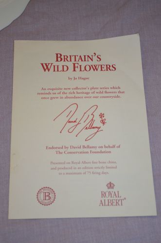 Royal Albert Cornfield Poppies Collectors Plate. (6)