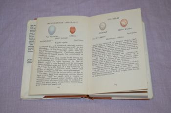 The Observers Book of Birds Eggs, G Evans. (3)