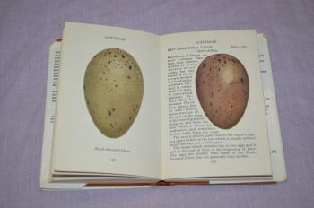The Observers Book of Birds Eggs, G Evans. (4)
