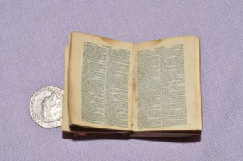 David Bryce Miniature Bible 1901 (6)