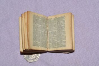 David Bryce Miniature Bible 1901 (7)