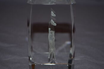 Cat &amp; Butterflies Etched Hologram Glass Paperweight (2)