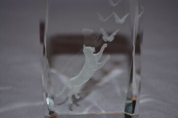 Cat &amp; Butterflies Etched Hologram Glass Paperweight (3)