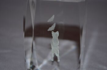 Cat &amp; Butterflies Etched Hologram Glass Paperweight (4)