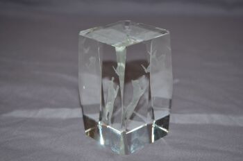 Cat &amp; Butterflies Etched Hologram Glass Paperweight (6)