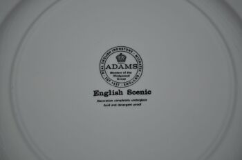 Adams Dinner Plate English Scenic (4)