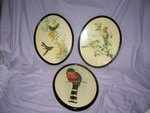 Set of Three Oval Framed Bird Pictures.