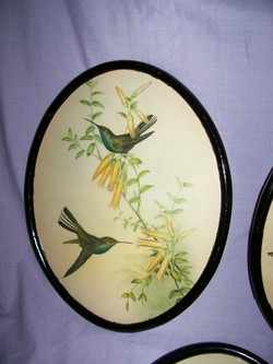 Set of Three Oval Framed Bird Pictures
