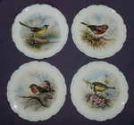 Woodland Birds Collection Set of Four Royal Albert Plates.